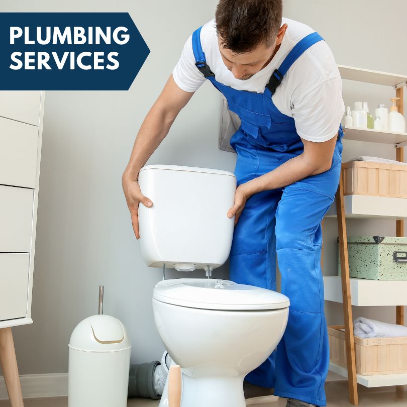 Plumbing Company in Oldsmar, FL